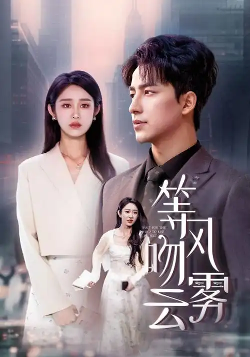 铜线风筝剧集海报 八戒在线观看影视大全年代生活板块